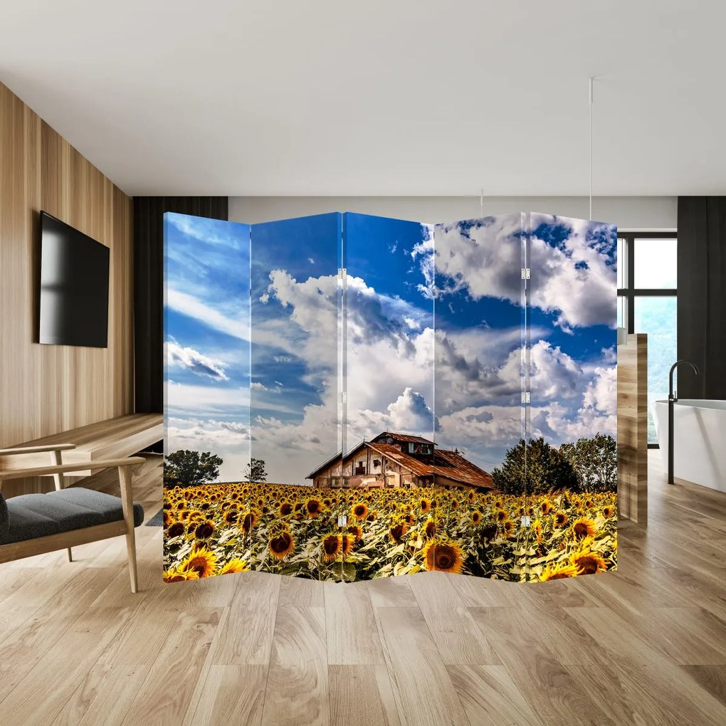 Paraván - Slnečnicové polia (210x170 cm)