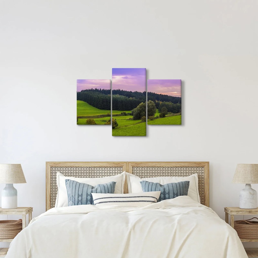 Obraz lúky (90x60 cm)
