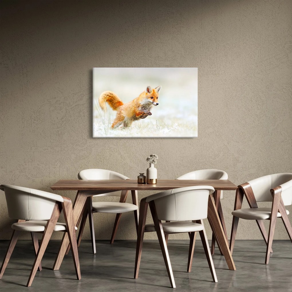 Obraz - Skákajúca líška (90x60 cm)