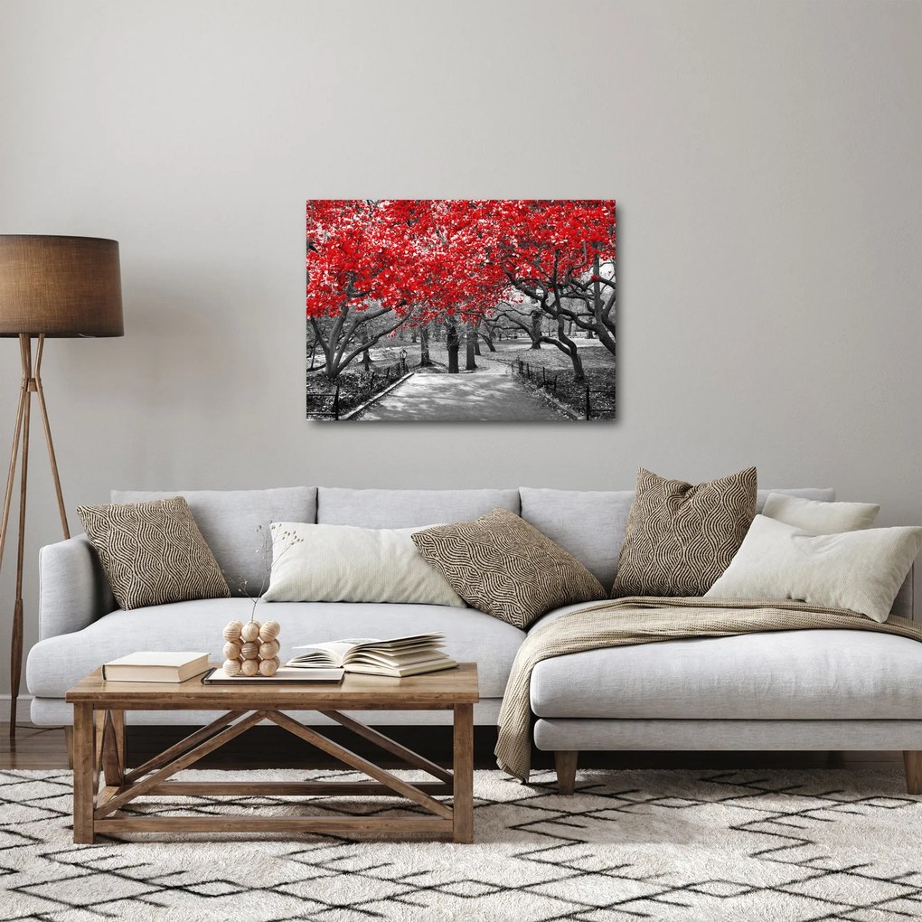 Obraz - Červené stromy, Central Park, New York (70x50 cm)