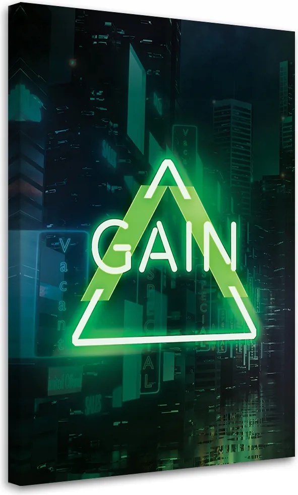 Obraz, Zelený nápis Gain pre hráča 80x120