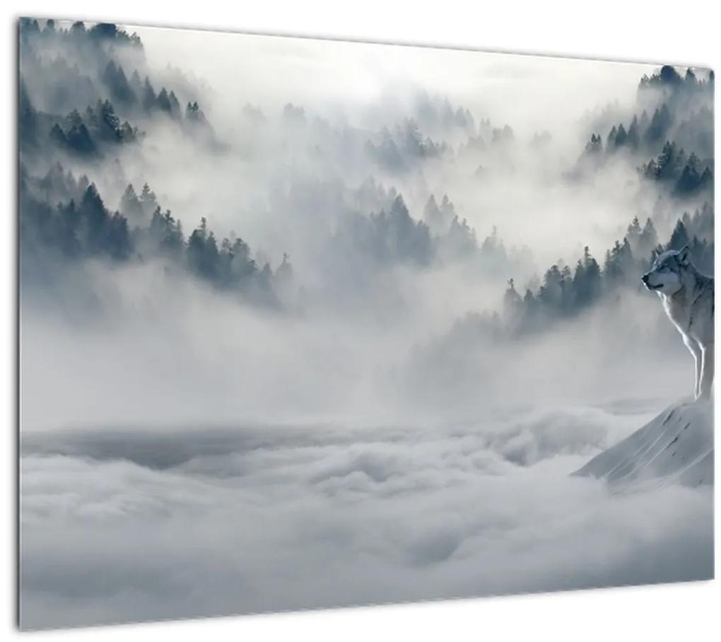 Sklenený obraz vlkov (70x50 cm)
