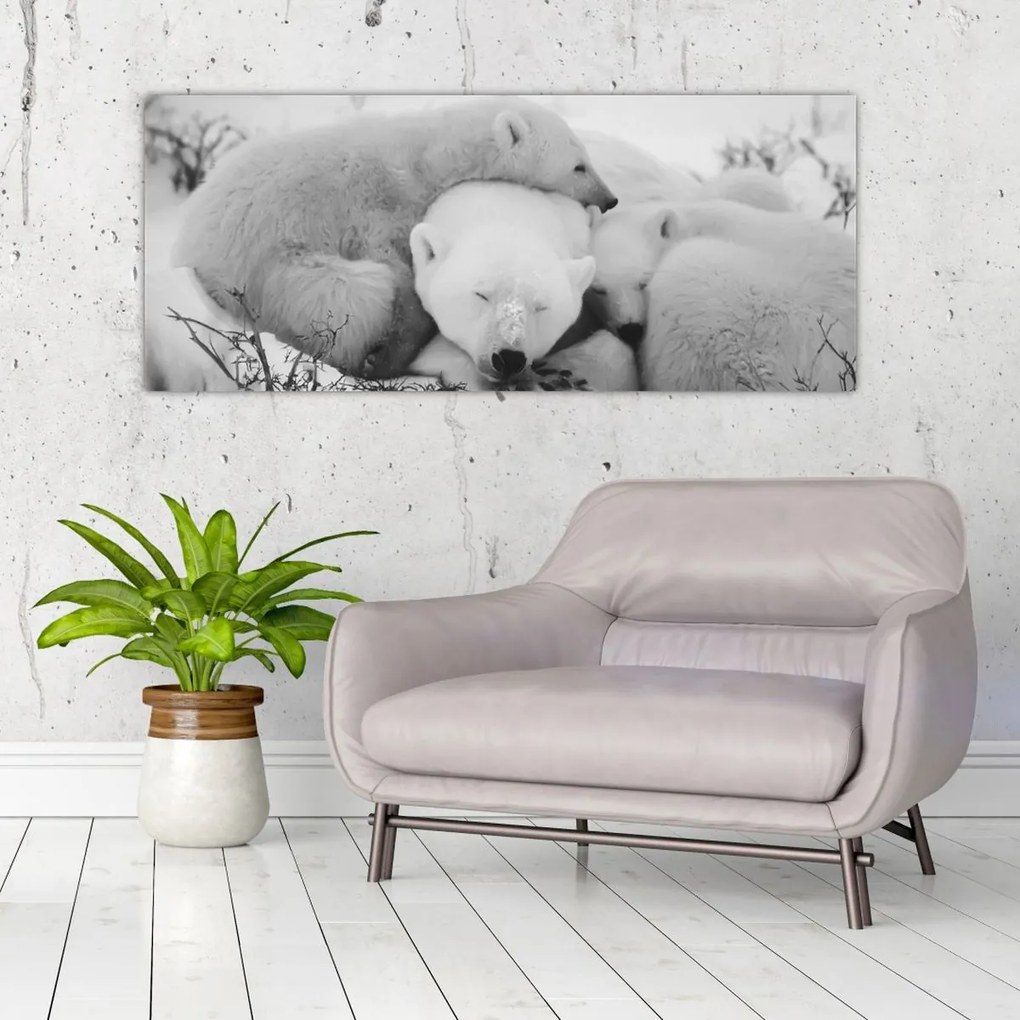 Obraz - Ľadové medvede (120x50 cm)