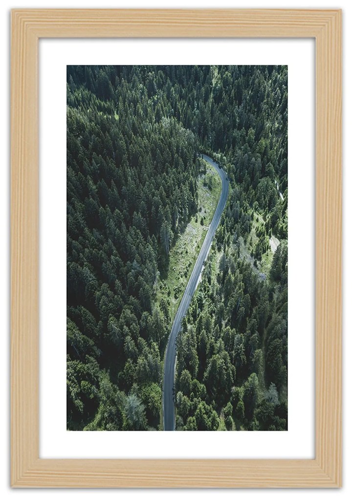 Gario Plagát Cesta v lese Farba rámu: Bez rámu, Rozmery: 40 x 60 cm