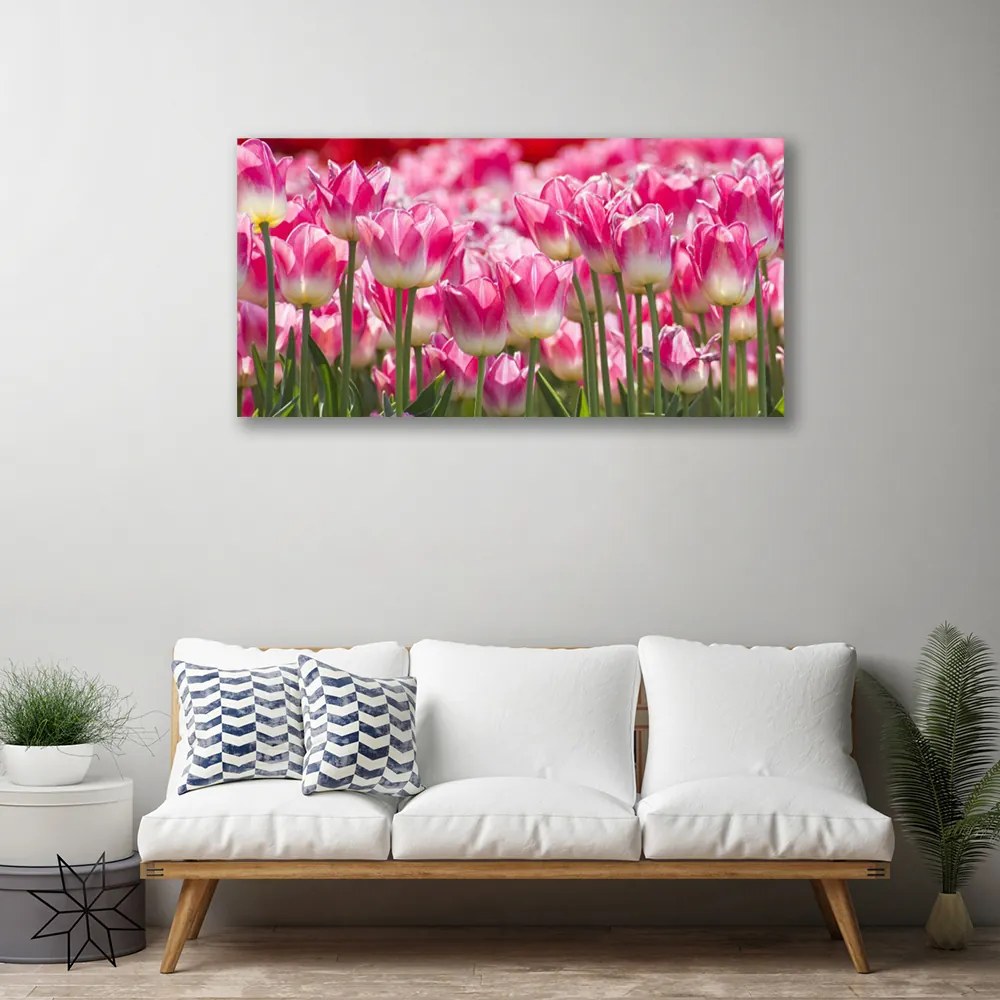 Obraz Canvas Tulipány kvety príroda 120x60 cm