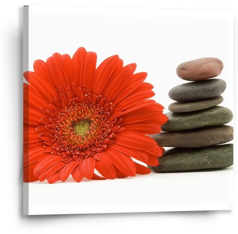 Sablio Obraz Gerbera s kameňmi - 50x50 cm
