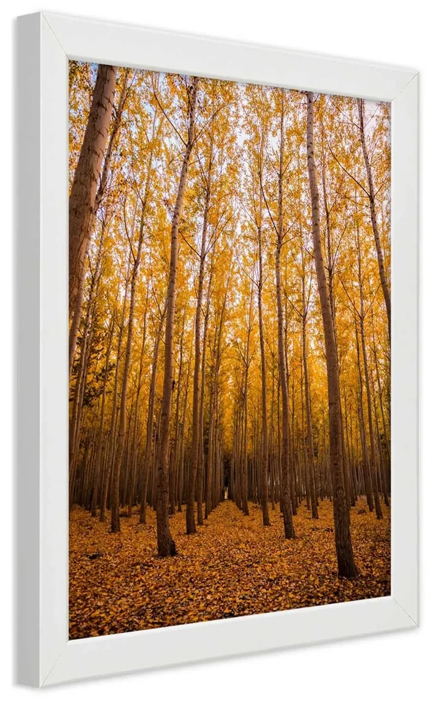 Gario Plagát Zlatý les na jeseň Farba rámu: Bez rámu, Rozmery: 20 x 30 cm