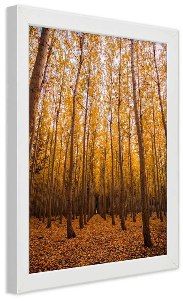 Gario Plagát Zlatý les na jeseň Farba rámu: Čierna, Rozmery: 20 x 30 cm