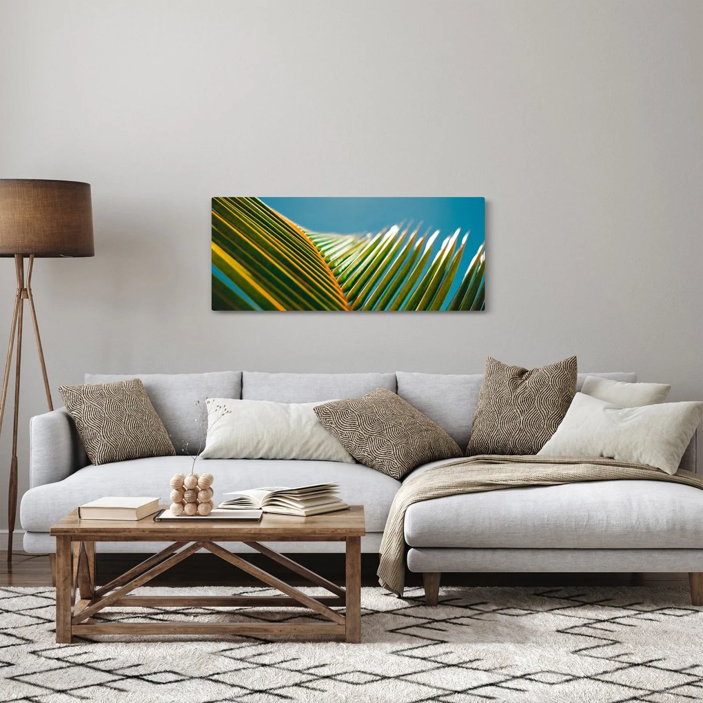 Obraz - Detail palmového listu (120x50 cm)