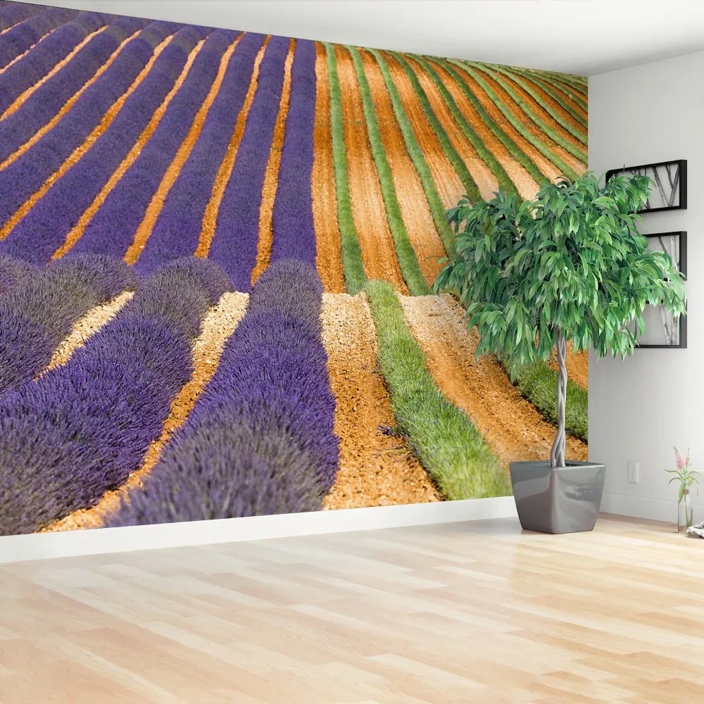 Fototapeta Vliesová Provence francúzsko 152x104 cm