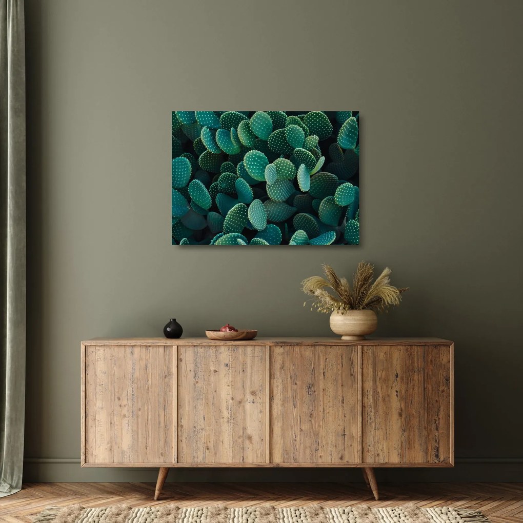 Sklenený obraz - Opuncie (70x50 cm)
