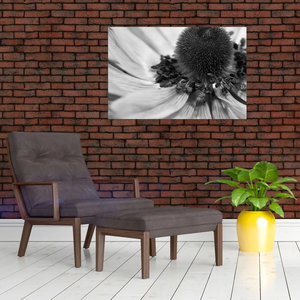 Obraz - Kvetina v čiernobielej (90x60 cm)