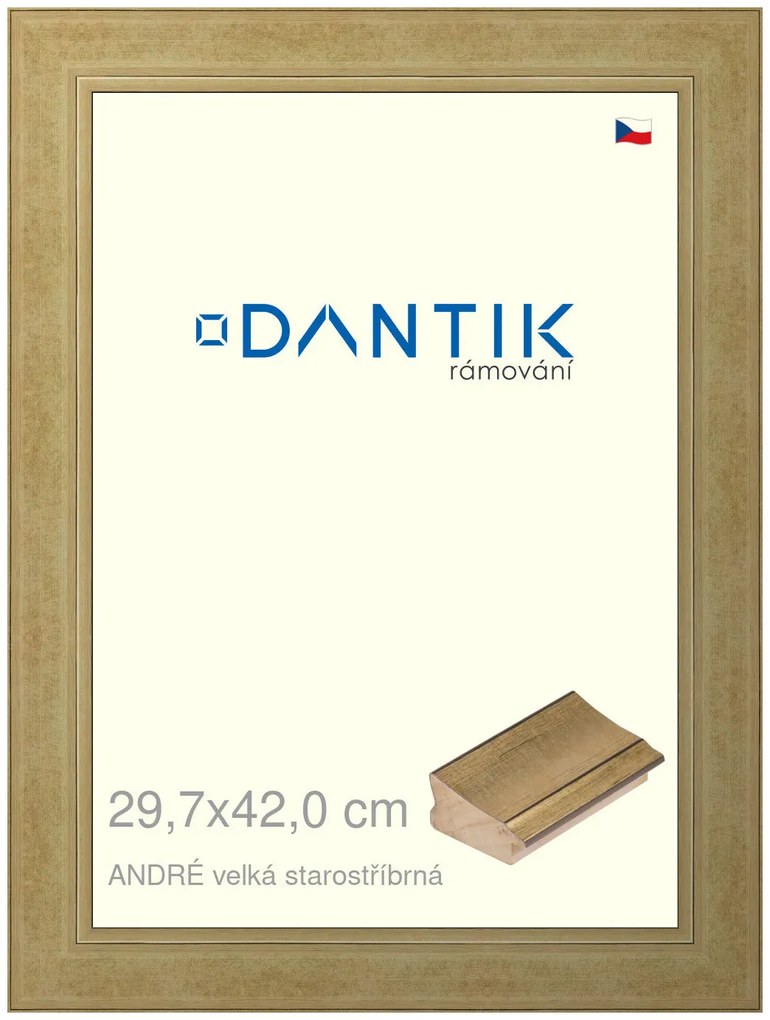 DANTIK rám na obraz 29,7x42 | ANDRÉ velká starostříbrná (Plexi Čiré)