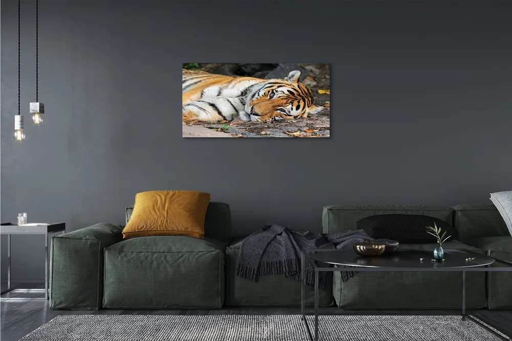 Obraz na plátne ležiace tiger 140x70 cm