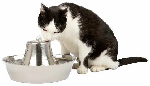 PetSafe® Seaside Nehrdzavejúca fontánka 1,8 l