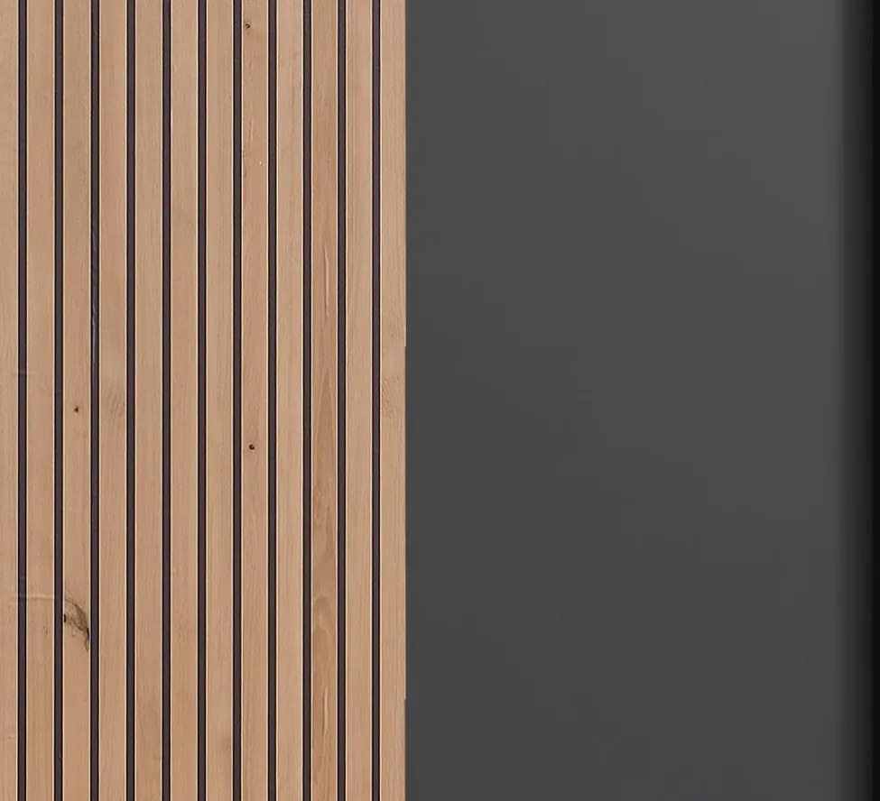 Šatníková skriňa Coburg, 180 cm, grafit/dub artisan