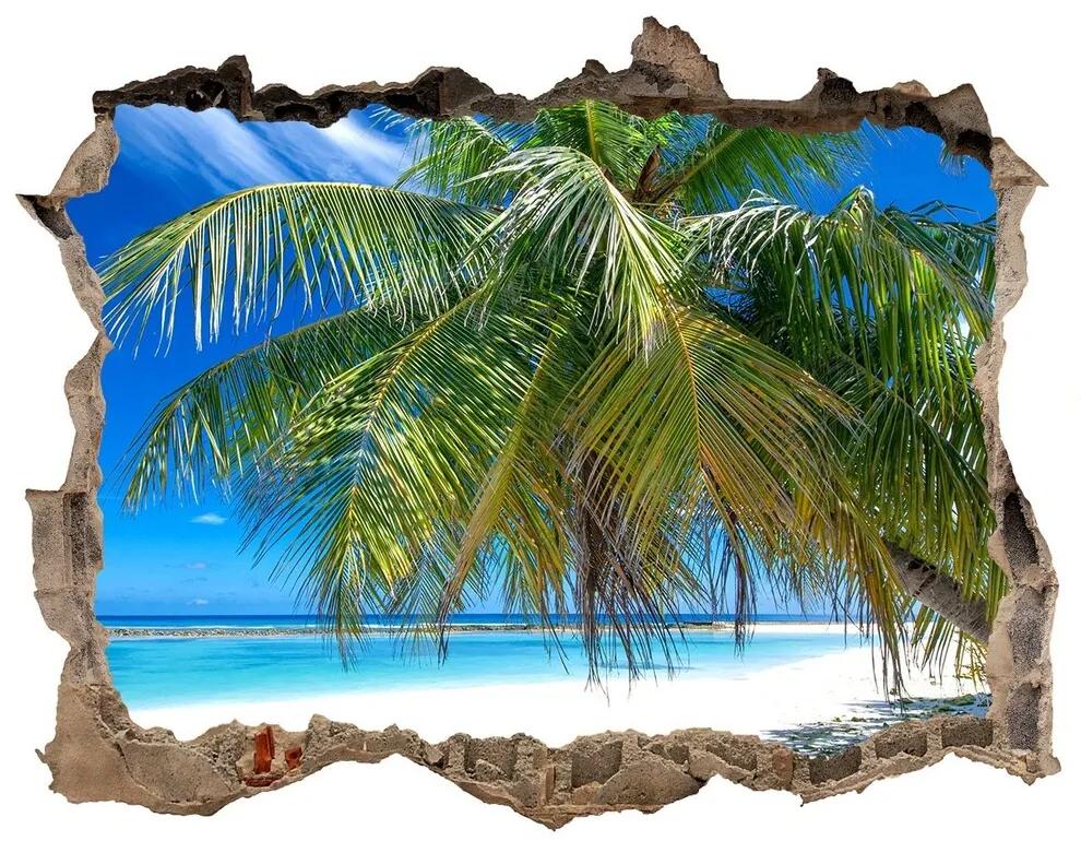 Nálepka fototapeta 3D výhled Tropické pláže nd-k-82585815
