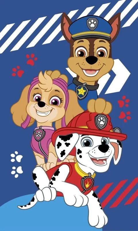INTERMEDIC SK Detský uterák Paw Patrol 30x50 cm