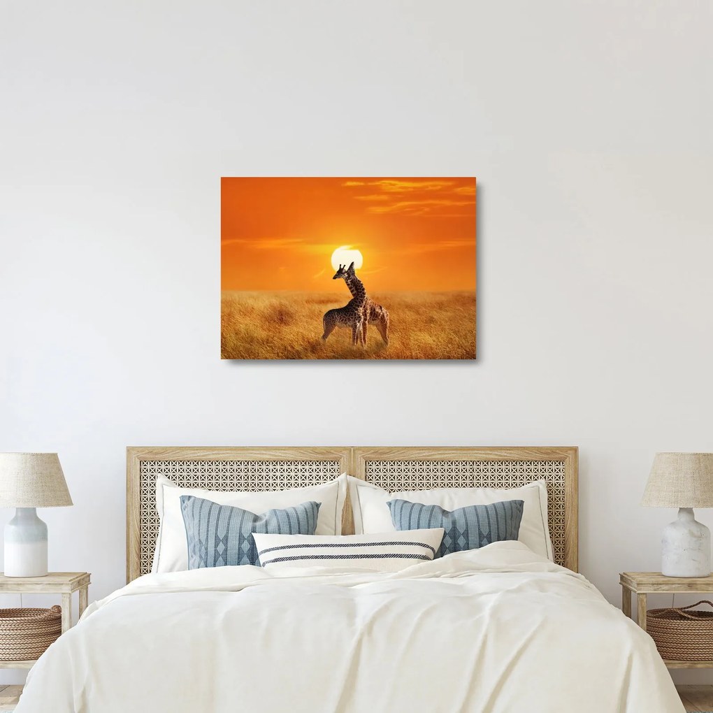 Sklenený obraz - Žirafy v národnom parku Serengeti (70x50 cm)