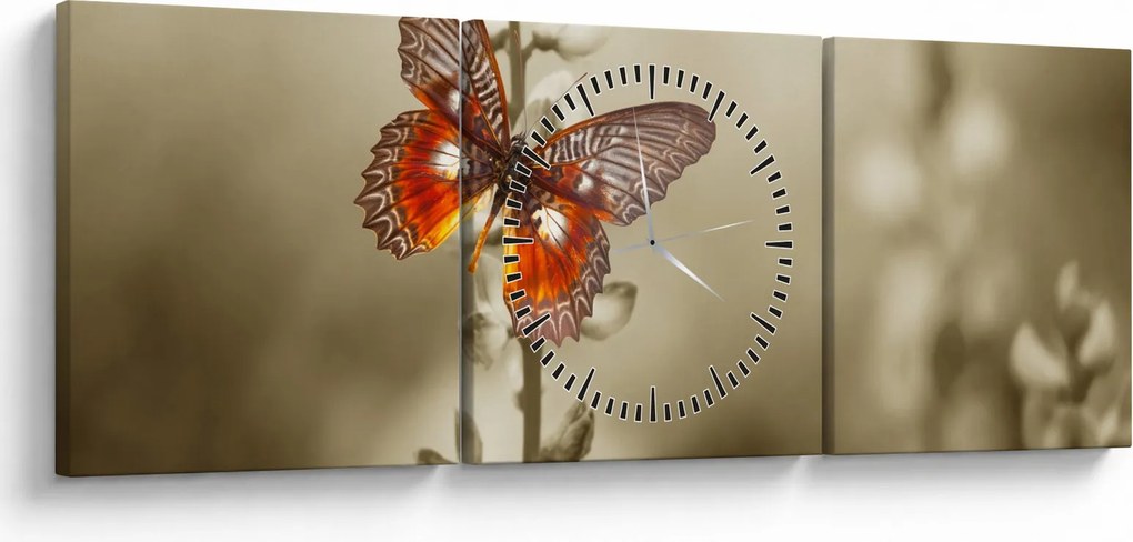 Obraz motýľa (s hodinami) (90x30 cm)