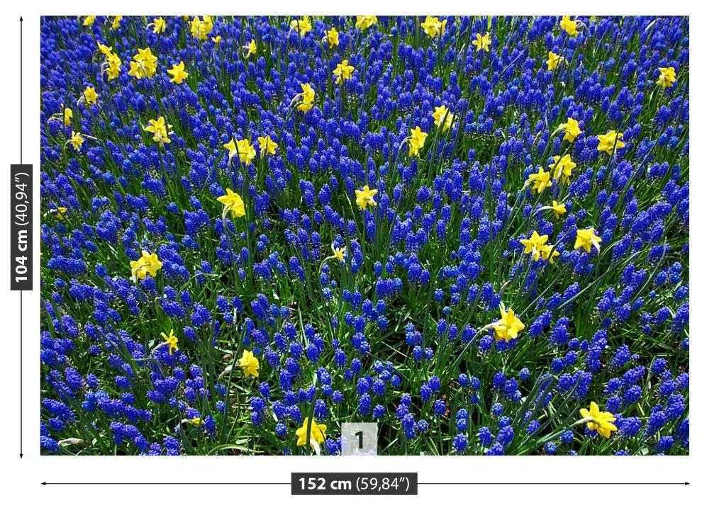 Fototapeta Vliesová Vlčí kvety 250x104 cm