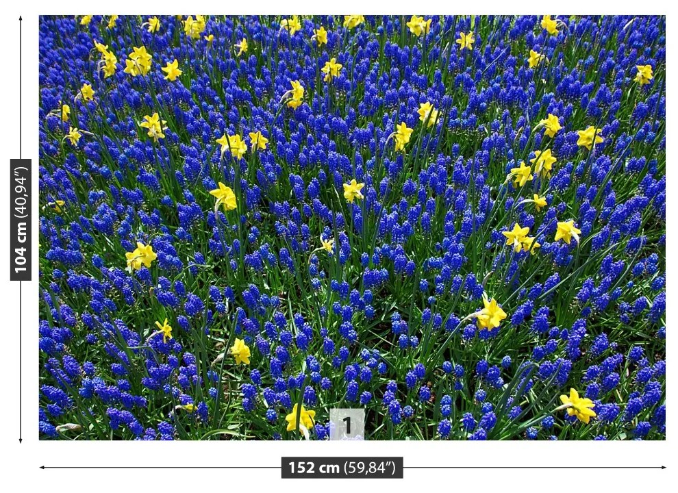 Fototapeta Vliesová Vlčí kvety 312x219 cm
