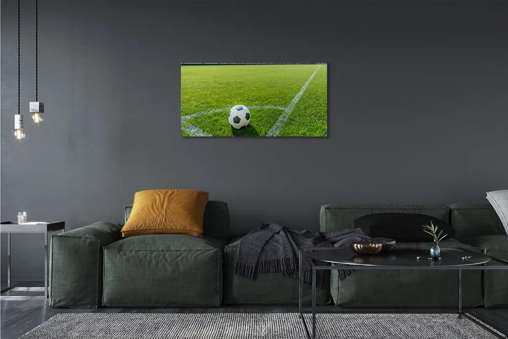 Obraz canvas Futbalový štadión trávy 120x60 cm