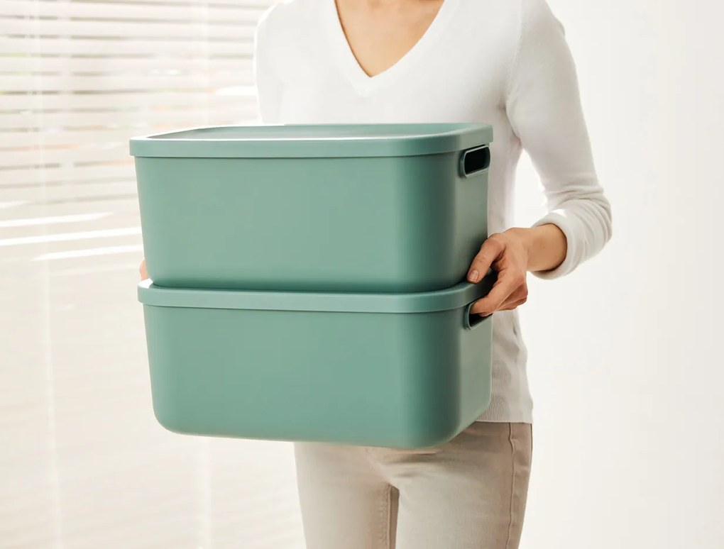 Rotho Úložný box, rovný s vekom, 20 l, matná zelená ALBU LIGHT, 40 x 36 x 18