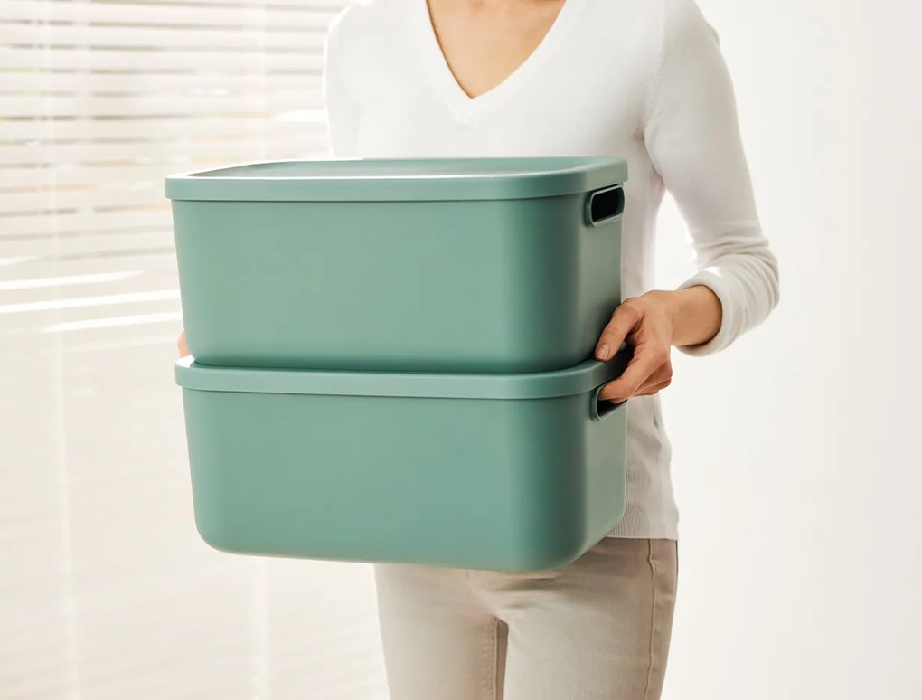 Rotho Úložný box, rovný s víkem, 20l, matně zelená ALBU LIGHT, 40x36x18