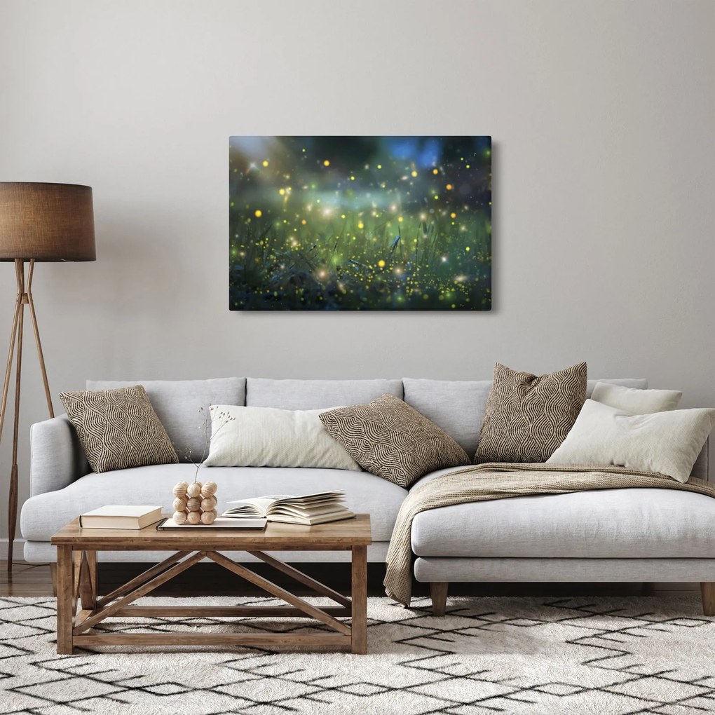 Obraz - Čarovná noc (90x60 cm)