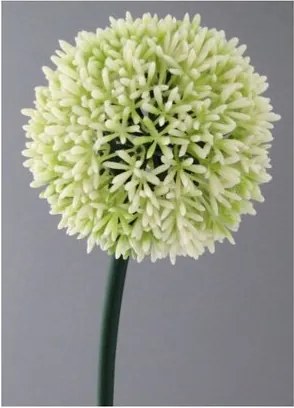 Umelá kvetina Cesnak biela, 68 cm