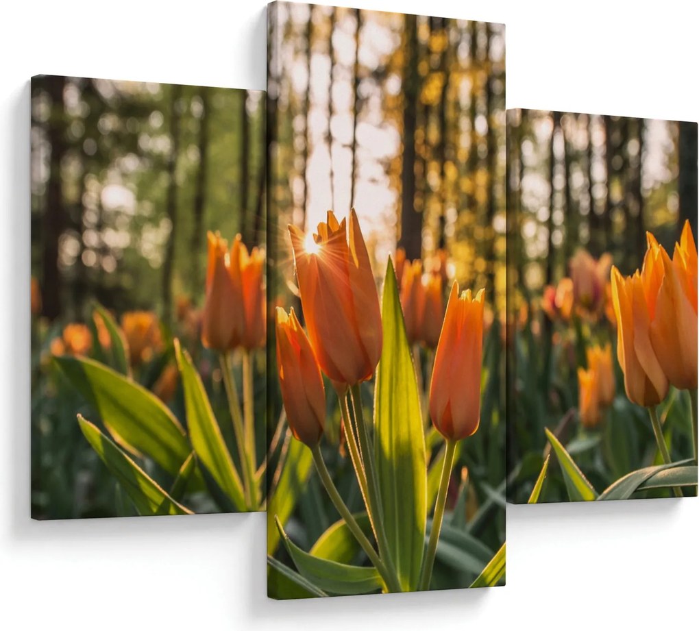 Obraz - kvety tulipánov (90x60 cm)
