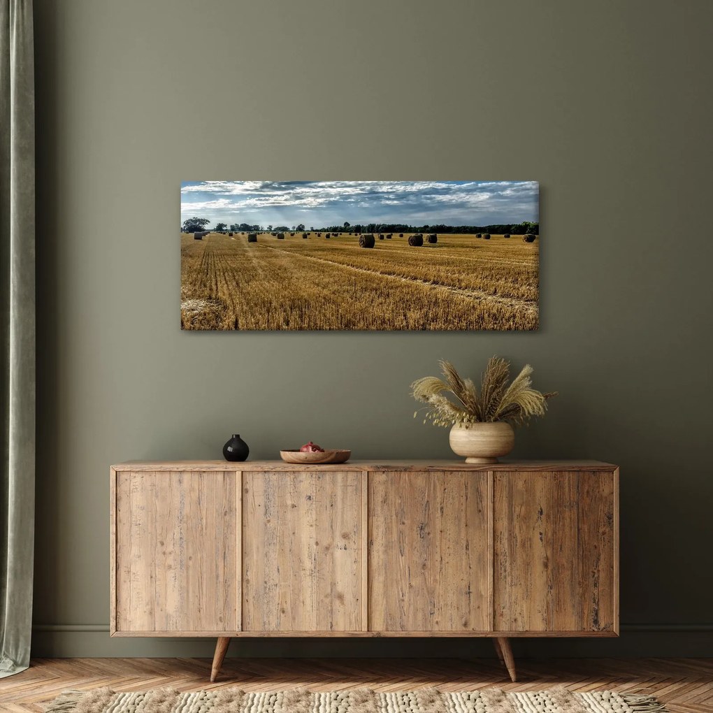 Obraz zozbieraného obilného poľa (120x50 cm)
