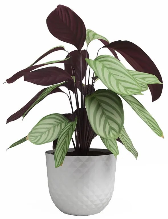 Kvetináč z recyklovaného plastu ø 30 cm Havana – Artevasi