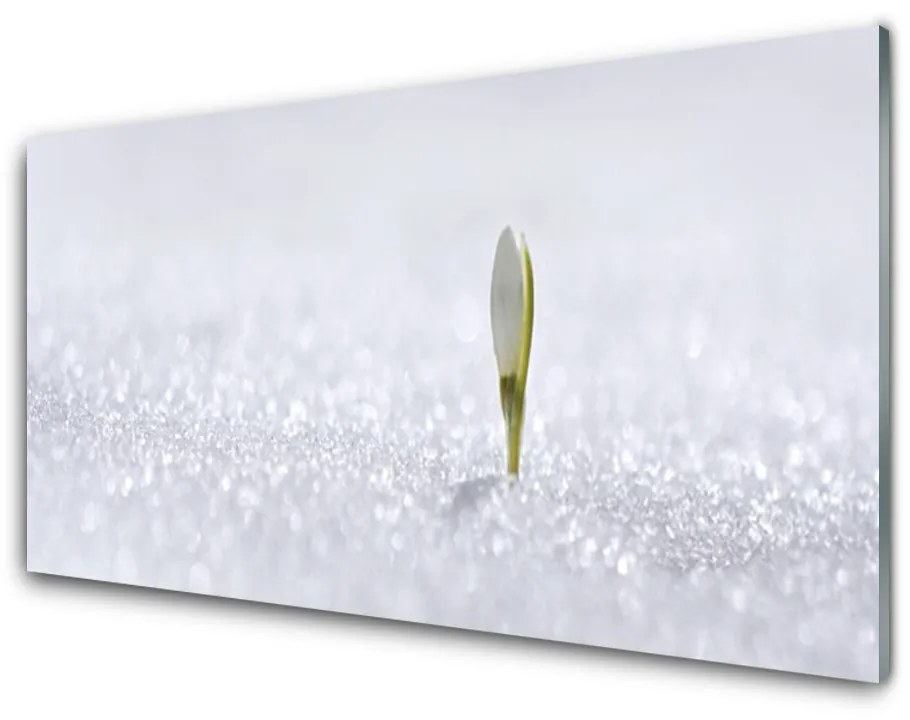 Obraz plexi Snežienka sneh zima 120x60 cm