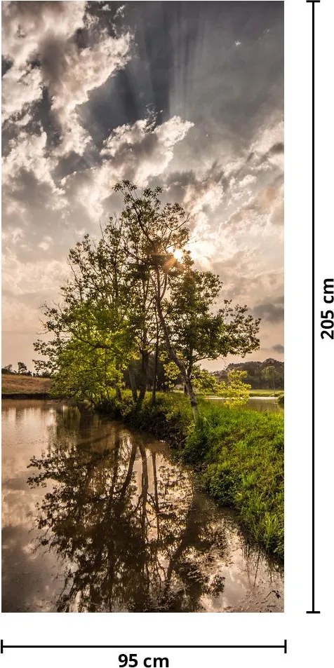 Fototapeta na dvere - Príroda s lúčmi (95x205cm)