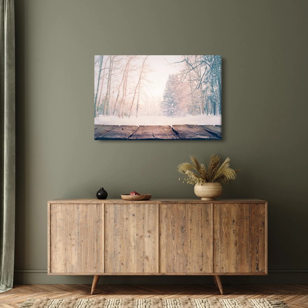 Obraz - Výhľad do lesa (90x60 cm)