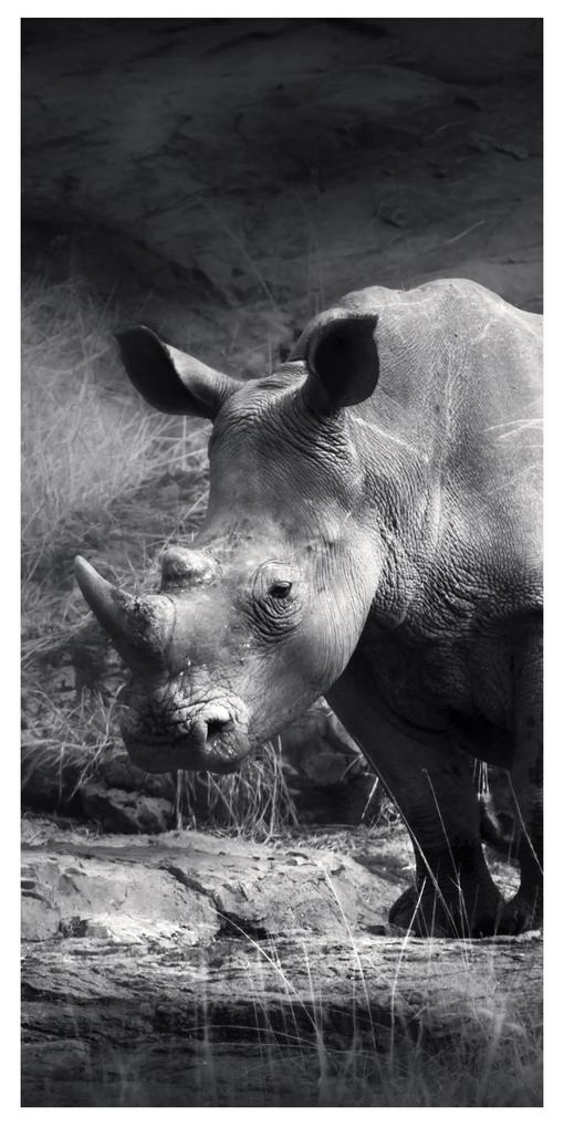 Moderný deliaci Paravan nosorožec