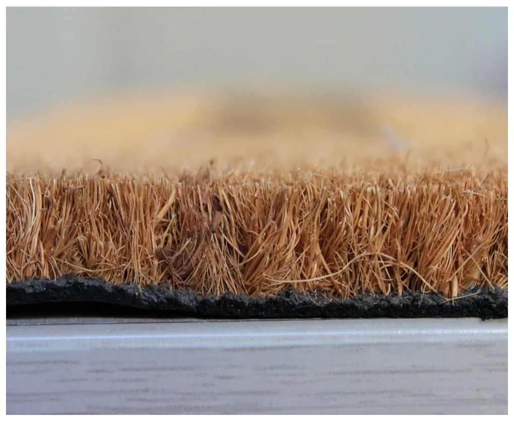 Home Elements Rohožka Mačka a pes