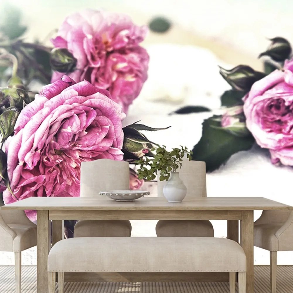 Samolepiaca fototapeta ruže v rozkvete - 300x200