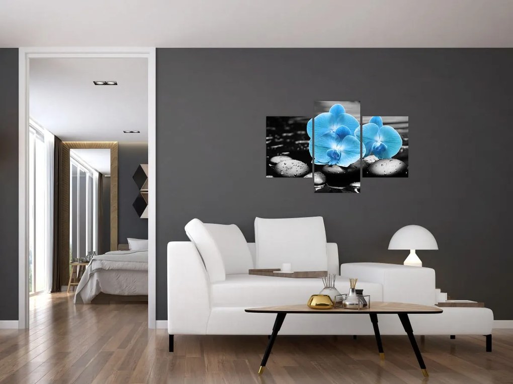 Obraz - Modrá orchidea (90x60 cm)