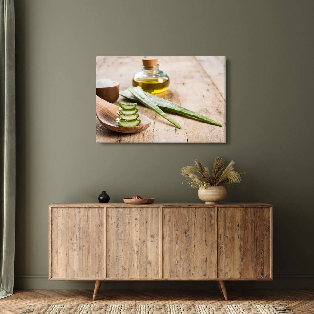 Obraz - Aloe vera (90x60 cm)