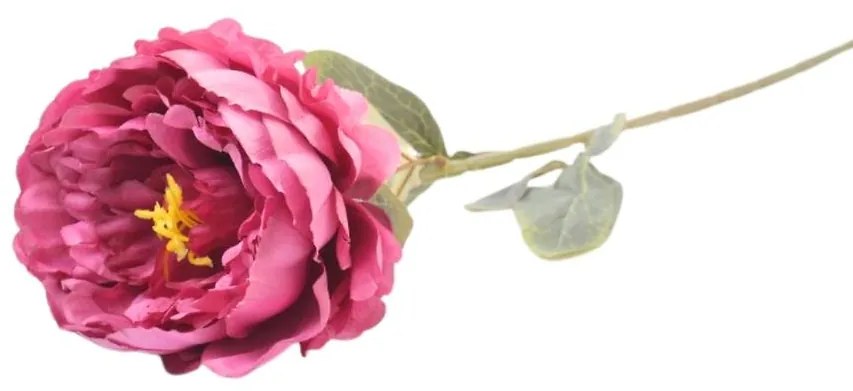 Paeonia 74cm cyclamowy A2010684