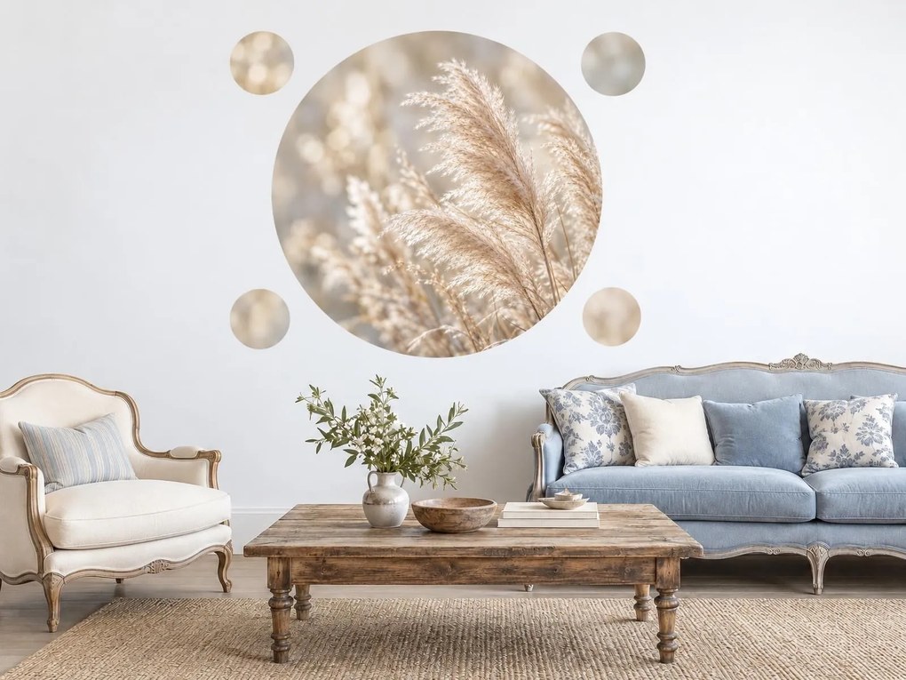 Pampová tráva v kruhu prírodné boho nálepky do obývacej izby na stenu arch 46 x 46 cm