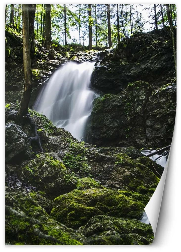 Fototapeta, Vodopád v lese - 200x280 cm