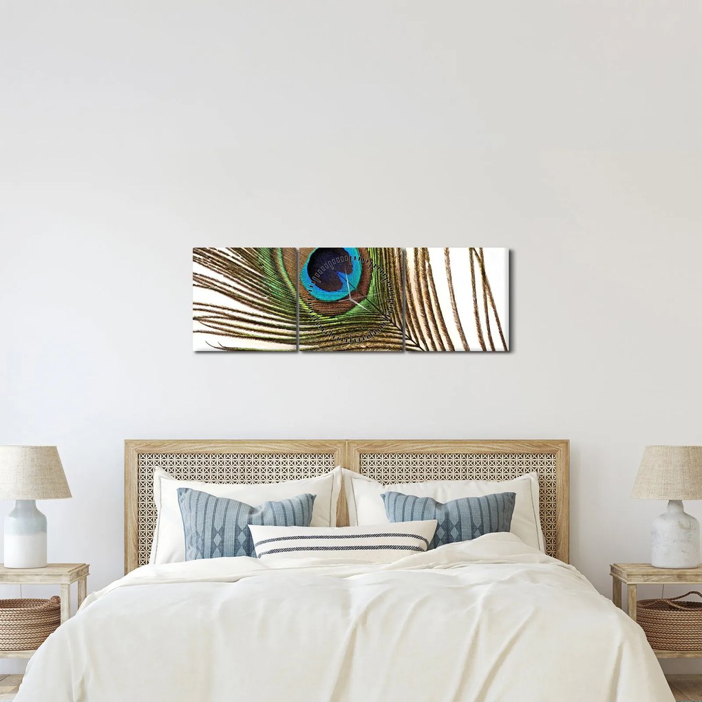 Obraz pávieho peria (s hodinami) (90x30 cm)