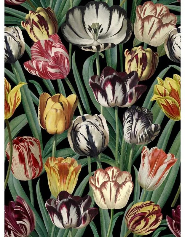 MINDTHEGAP Tulipa - tapeta