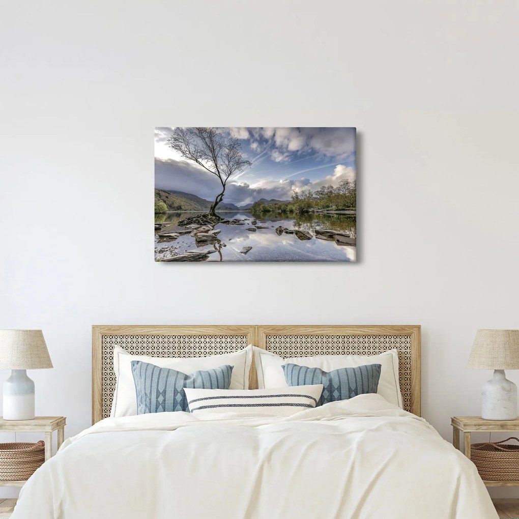 Obraz rieky za stromom (90x60 cm)