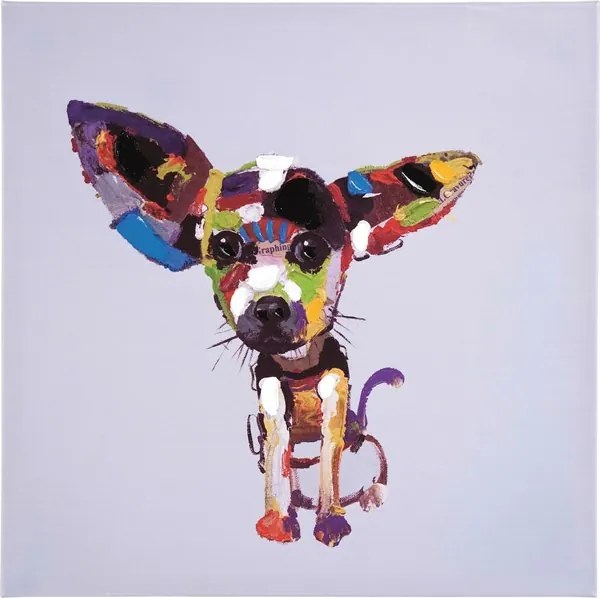 KARE DESIGN Sada 2 ks − Olejomaľba Chihuahua 50 × 50 cm