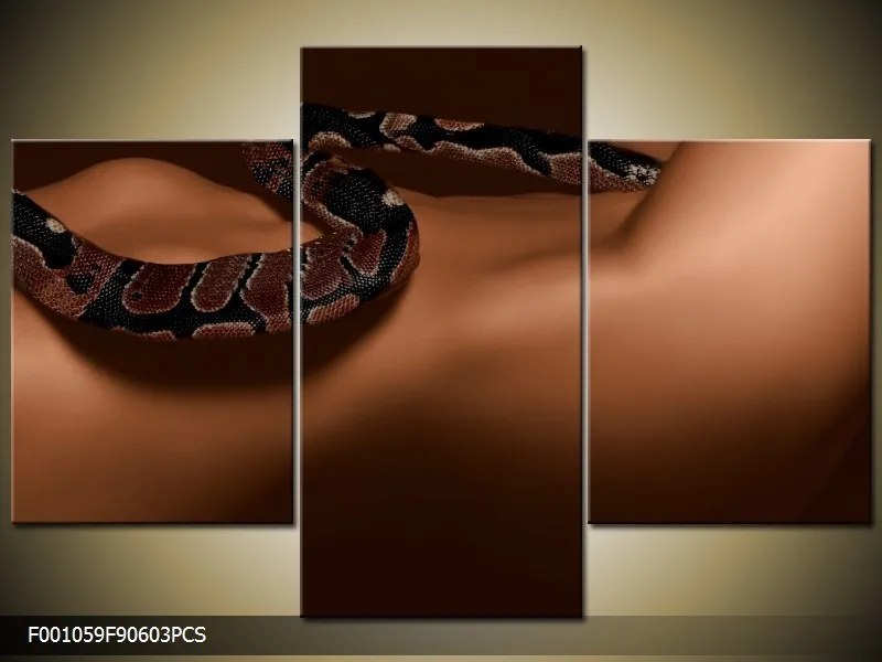 Obraz na plátne Žena s hadom, 3 dielne 90x60cm 60,8 €